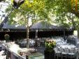 Fiesta jardín 