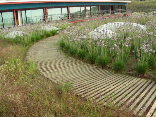 Alfombras de madera para exteriores