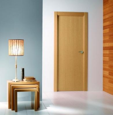 PUERTAS DE INTERIOR