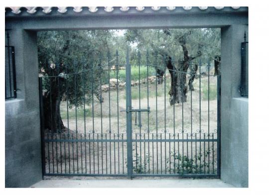 cancela de olivar