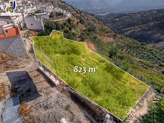 TERRENO DEL PROYECTO