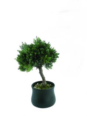 Bonsais artificiales. Bonsai artificial cedro pequeño oasisdecor.com
