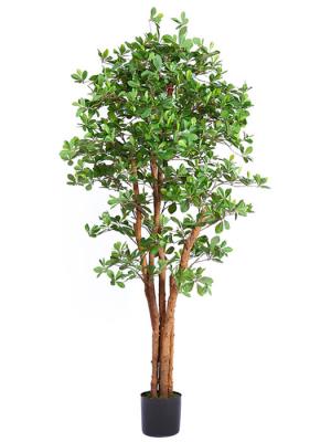 arboles artificiales de calidad. Arbol cheflera artificial oasisdecor.com
