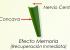 Tecnología de fibra concava con nervio central, 