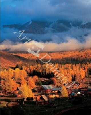 láminas y lienzos de Foto 262