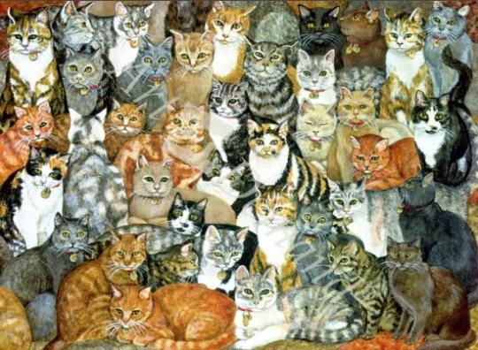 láminas y lienzos de  Cat-Spread