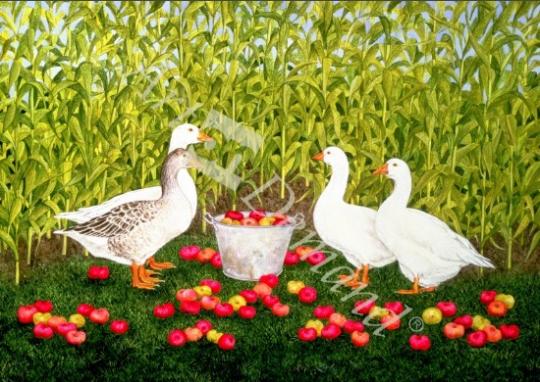 láminas y lienzos de  Sweetcorn-Geese