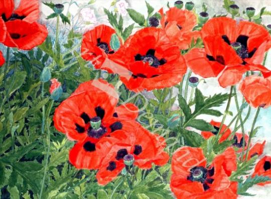 láminas y lienzos de  Poppies