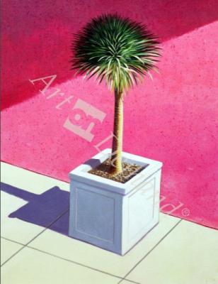 láminas y lienzos de  Mini Palm
