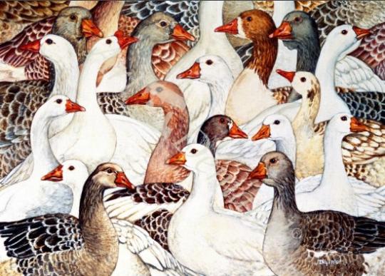 láminas y lienzos de  Patchwork Geese