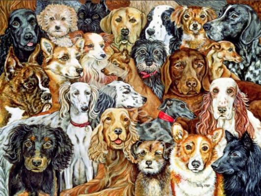 láminas y lienzos de  Dog Spread