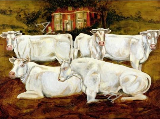 láminas y lienzos de  Charolais Bulls, Dippenhall, Farnham