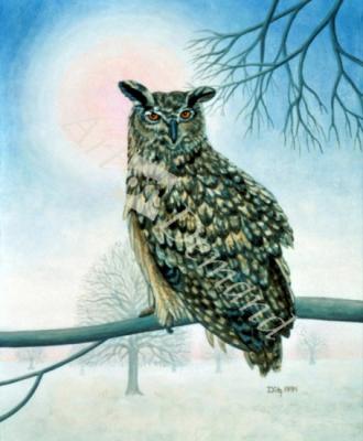 láminas y lienzos de Winter-Owl