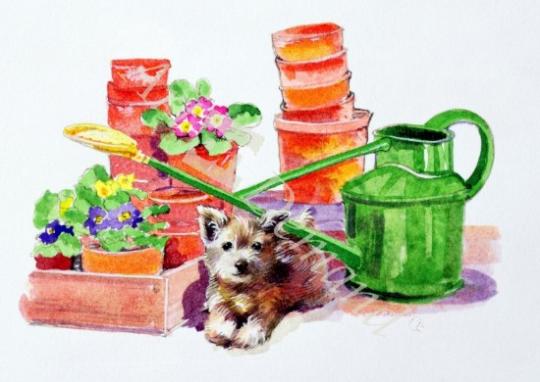 láminas y lienzos de Terrier amongst Terracotta Pots