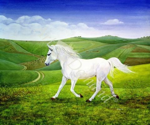láminas y lienzos de The Landscape Horse