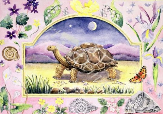 láminas y lienzos de Giant Tortoise (month of May from a calendar)