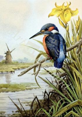 láminas y lienzos de Kingfisher with Flag Iris and Windmill