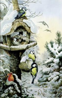 láminas y lienzos de Winter Bird Table with Blue Tits, Great Tits, House Sparr