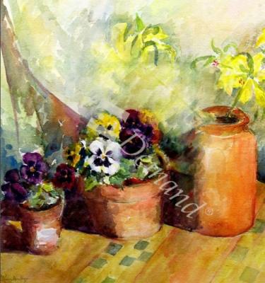 láminas y lienzos de  Pansies and Terracotta Pots (w/c)