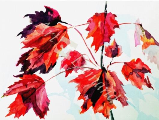 láminas y lienzos de  No.24 Autumn Maple Leaves (w/c)