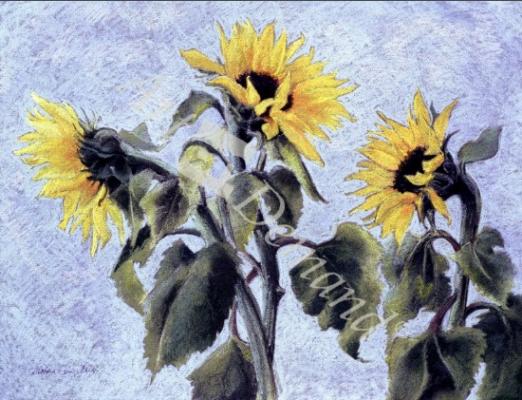 láminas y lienzos de  Sunflowers, 1996 (pastel)
