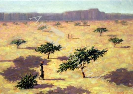 láminas y lienzos de  Sahelian Landscape, Mali, 1991 (oil on canvas)