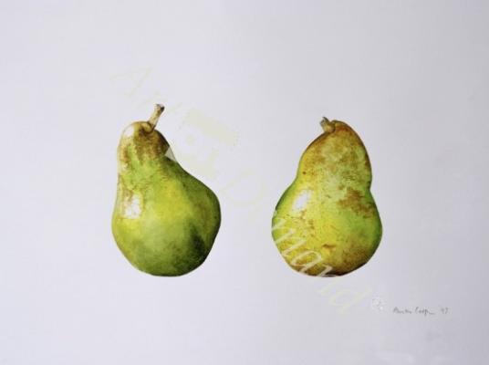 láminas y lienzos de  A Pair of Pears, 1997 (w/c on paper)