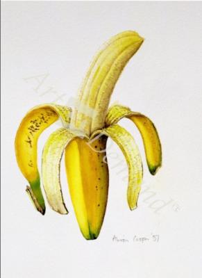 láminas y lienzos de  A Half-peeled Banana, 1997 (w/c on paper)