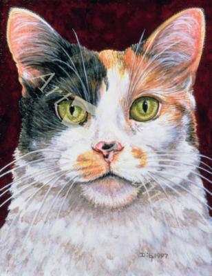 láminas y lienzos de  Marigold, 1997 (acrylic on panel)