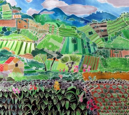 láminas y lienzos de  Cabbages and Lilies, Solola Region, Guatemala, 1993