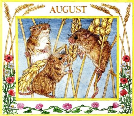 láminas y lienzos de  August (w/c on paper)