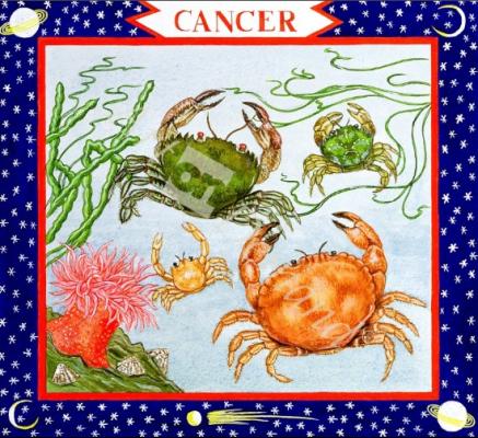 láminas y lienzos de  Cancer (w/c on paper)