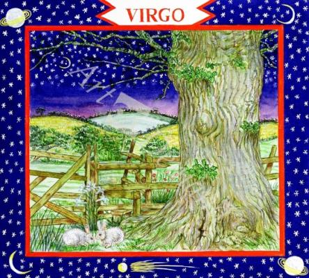 láminas y lienzos de  Virgo (w/c on paper)