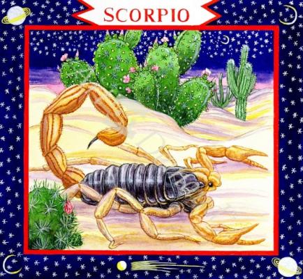 láminas y lienzos de  Scorpio (w/c on paper)