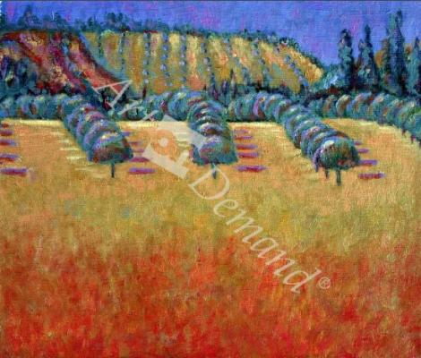 láminas y lienzos de  Lavangeiras, 1999 (oil on linen)