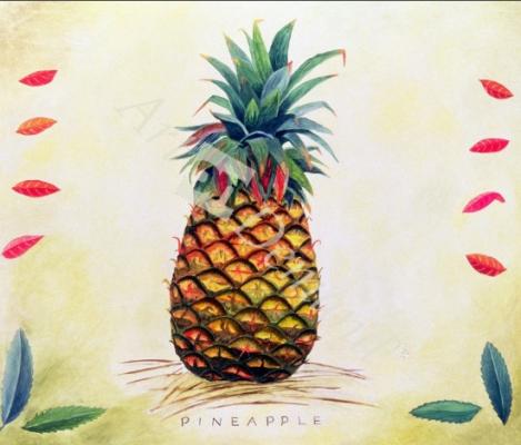 láminas y lienzos de Pineapple, 1996 (oil on paper)