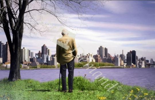 láminas y lienzos de  Mr. Gordon, 2000 (oil on canvas)