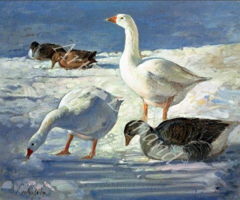 láminas y lienzos de Geese and Mallards, 2000 (oil on canvas)