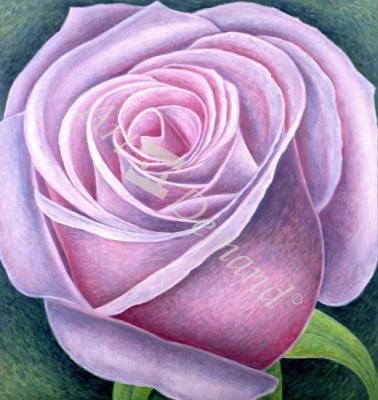 láminas y lienzos de  Big Rose, 2003 (oil on canvas)