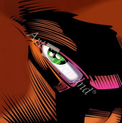 láminas y lienzos de 14 ojo