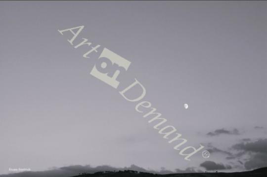 láminas y lienzos de  AB__D1V4442