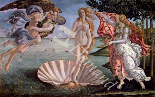 láminas y lienzos de  The Birth of Venus, c.1485 (tempera on canvas) (for detail see 85293)