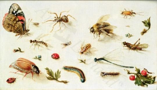 láminas y lienzos de  A Study of Insects (oil on panel)
