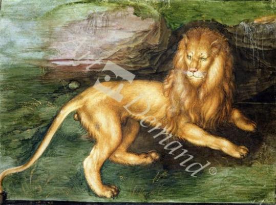 láminas y lienzos de Lion (w/c on paper)