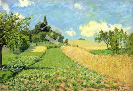 láminas y lienzos de The Cornfield (near Argenteuil) (oil on canvas)