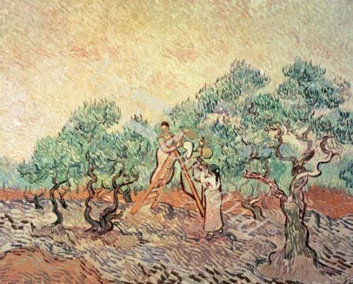 láminas y lienzos de The Olive Grove, 1889