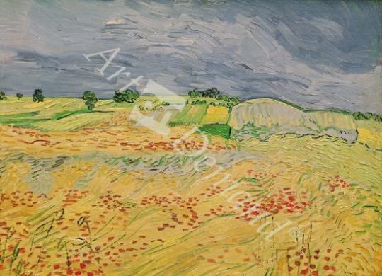 láminas y lienzos de Plain at Auvers, 1890 (oil on canvas)