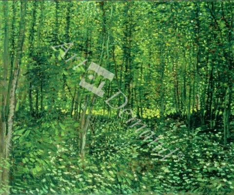 láminas y lienzos de Woods and Undergrowth, 1887