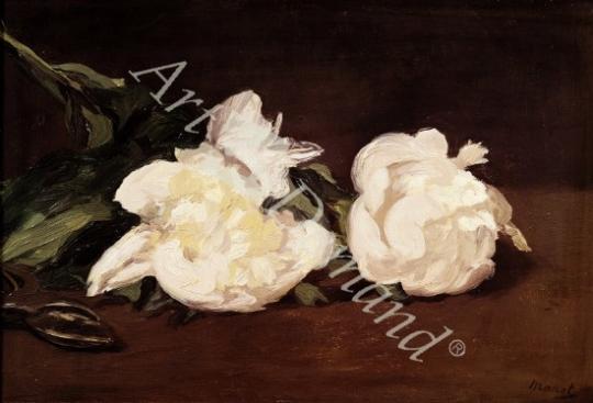 láminas y lienzos de Branch of White Peonies and Secateurs, 1864 (oil on canvas)