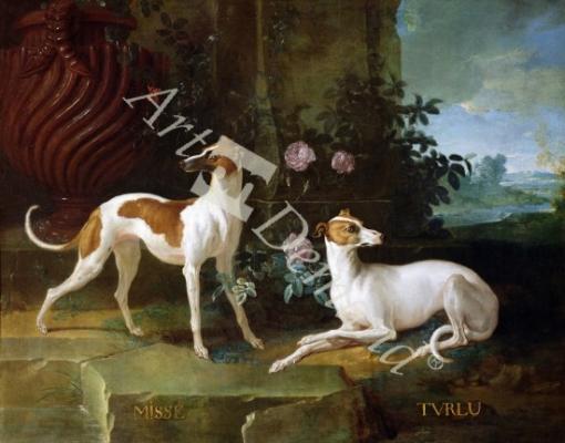 láminas y lienzos de Misse and Turlu, two greyhounds of Louis XV (oil on canvas)